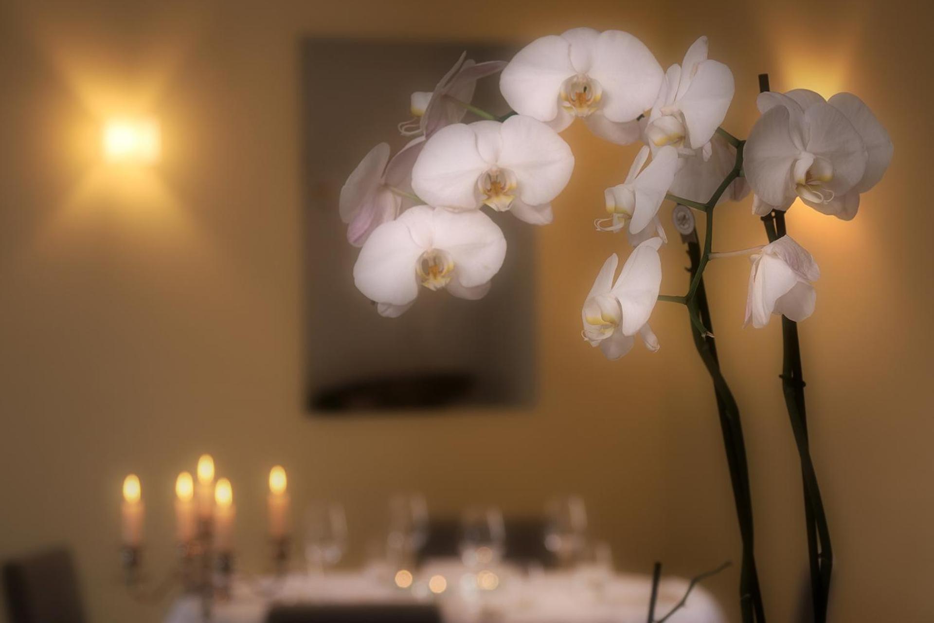 Ristorante Charme Hotel Tre Terre Ponte Brolla 外观 照片
