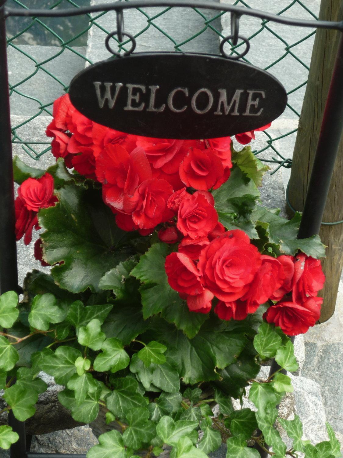 Ristorante Charme Hotel Tre Terre Ponte Brolla 外观 照片