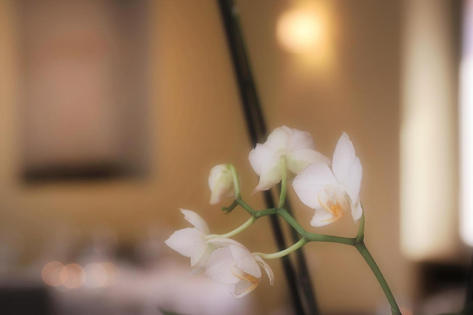 Ristorante Charme Hotel Tre Terre Ponte Brolla 外观 照片
